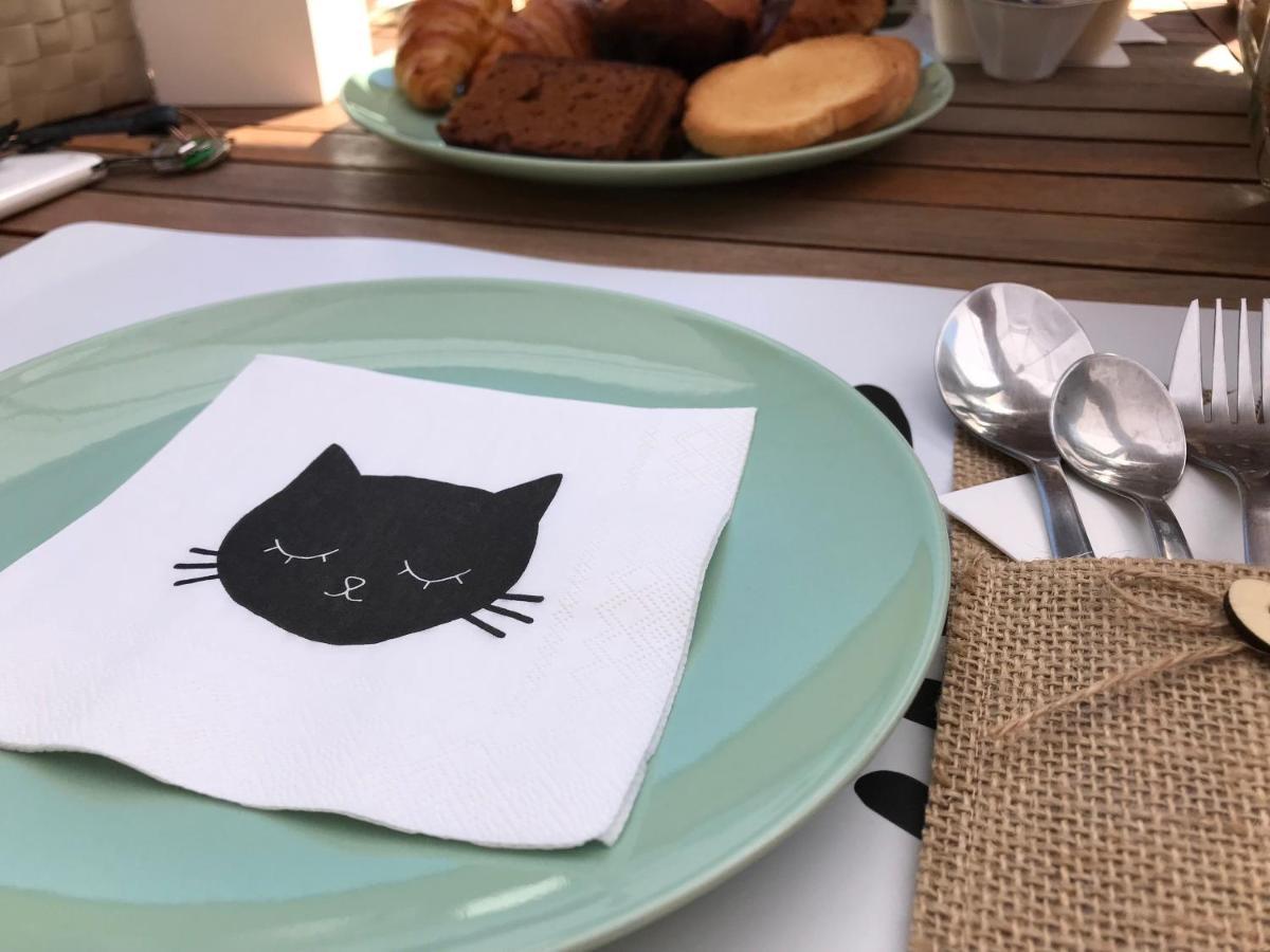 Il Gatto Stanco B&B Arona Eksteriør bilde